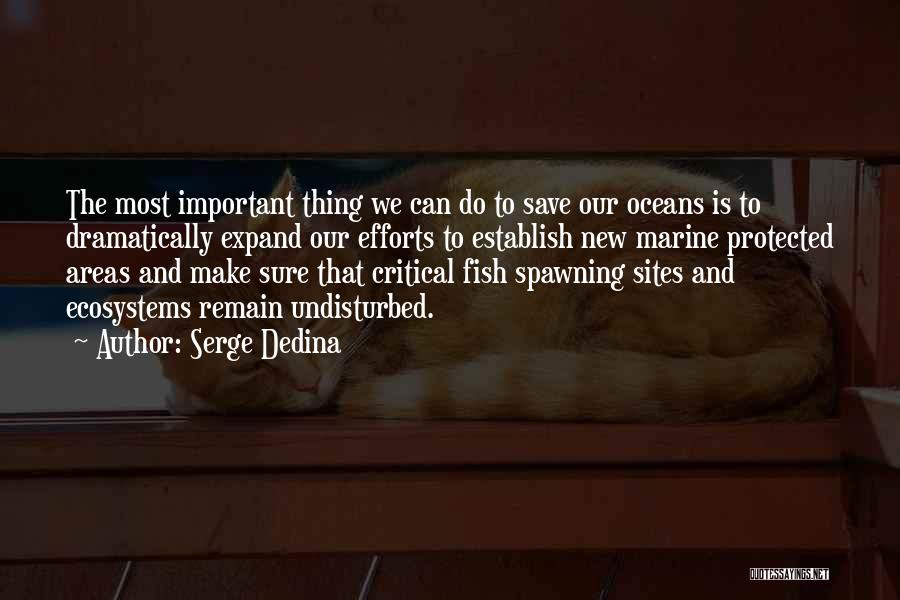 Save The Oceans Quotes By Serge Dedina