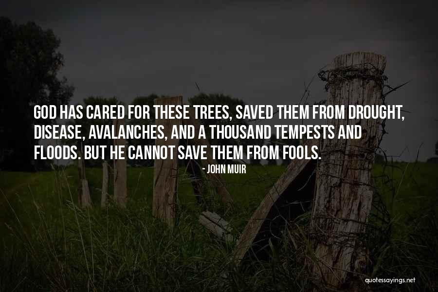 Save Trees Quotes By John Muir