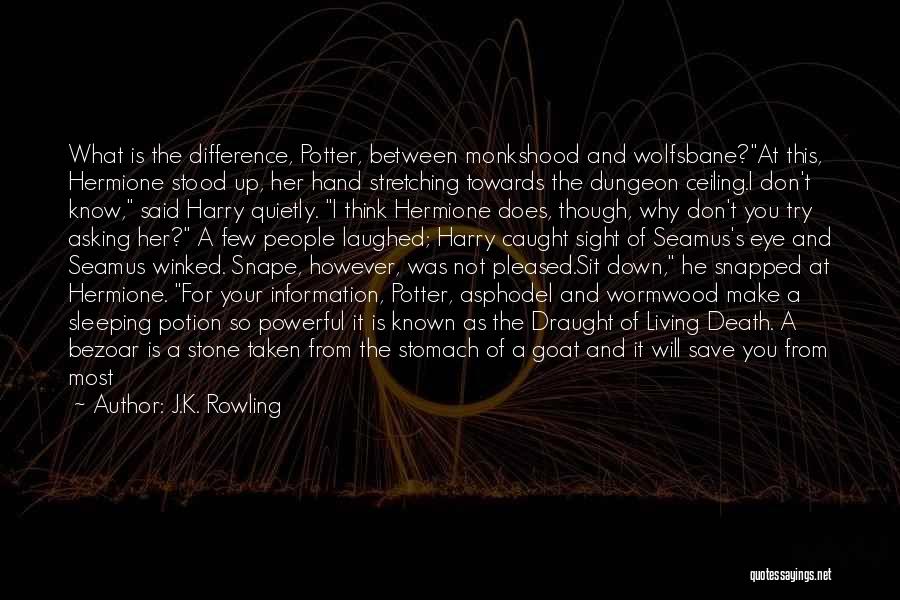 Save Up Quotes By J.K. Rowling