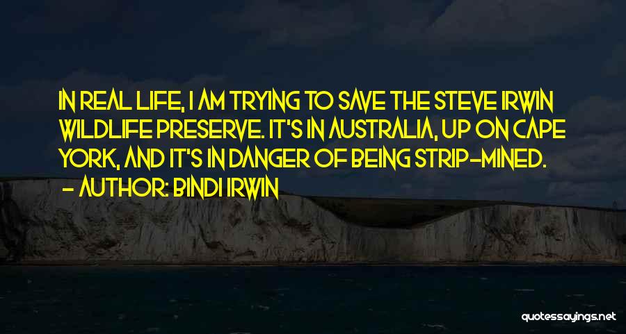 Save Wildlife Quotes By Bindi Irwin