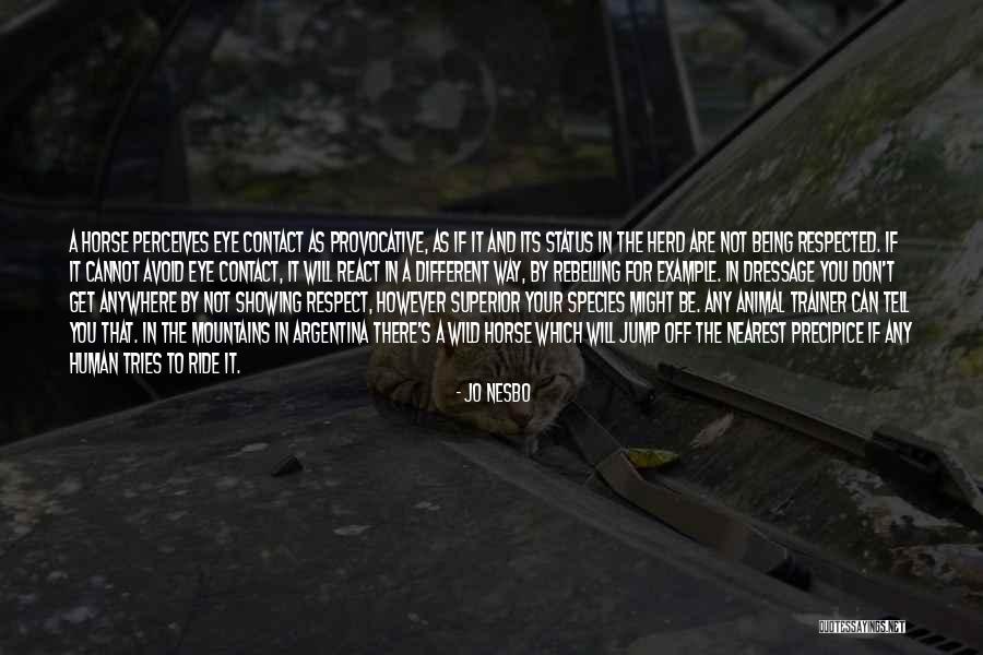 Savegnago Matao Quotes By Jo Nesbo Savegnago Matao Quotes By Jo Nesbo