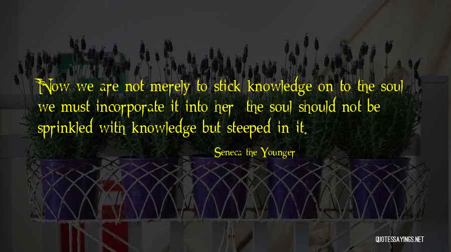 Savelli Dance Quotes By Seneca The Younger Savelli Dance Quotes By Seneca The Younger