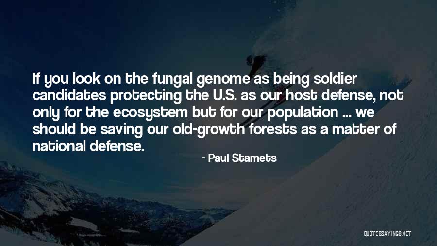 Saving Ecosystem Quotes By Paul Stamets