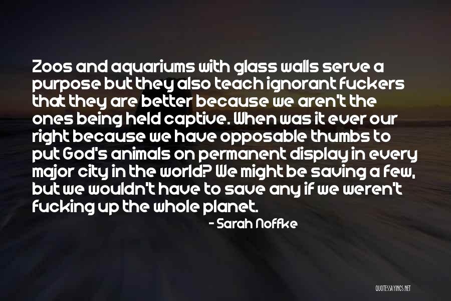 Saving Our Planet Quotes By Sarah Noffke Saving Our Planet Quotes By Sarah Noffke