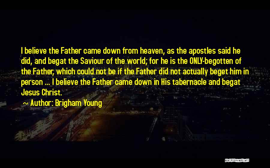 Saviour Quotes By Brigham Young