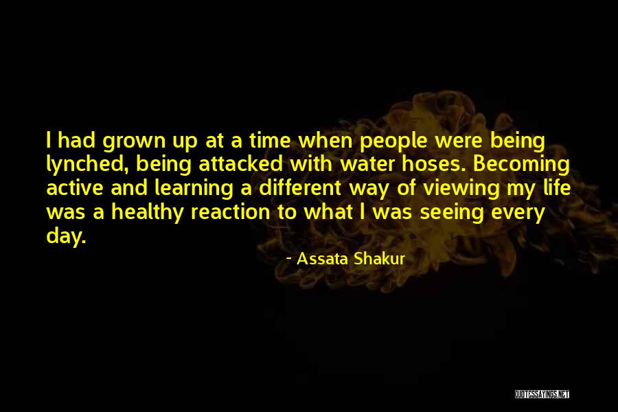 Savitt Bruce Quotes By Assata Shakur Savitt Bruce Quotes By Assata Shakur