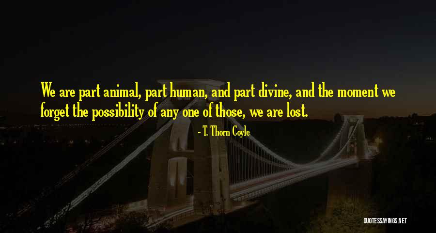 Savnet Dental Quotes By T. Thorn Coyle Savnet Dental Quotes By T. Thorn Coyle