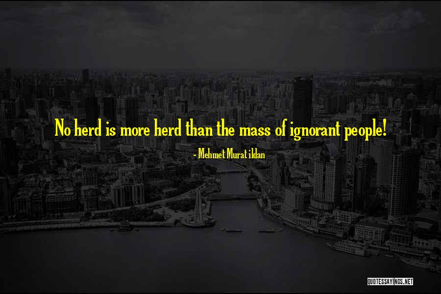Savory Butcher Quotes By Mehmet Murat Ildan