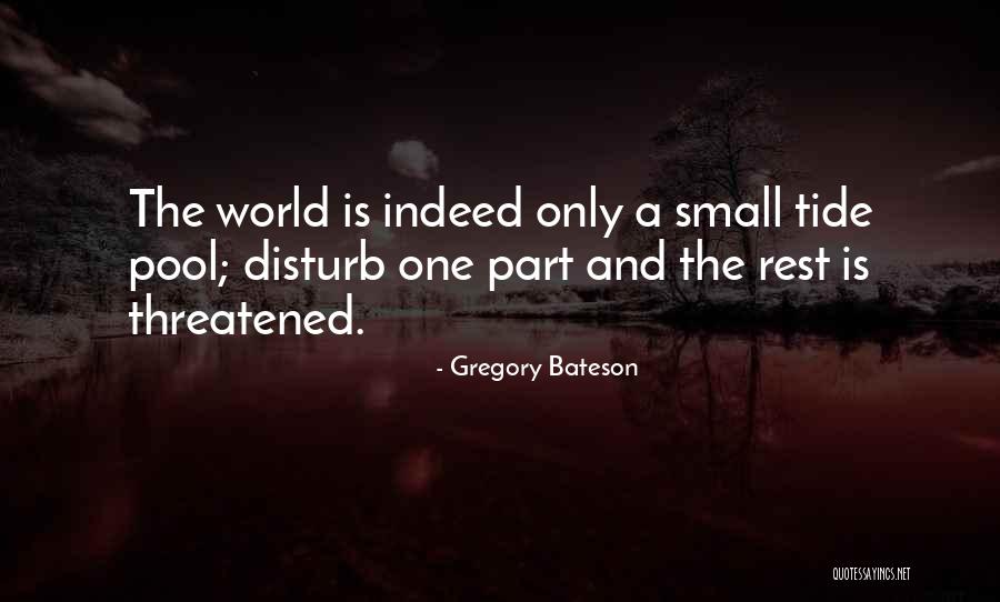 Savouries Ideas Quotes By Gregory Bateson Savouries Ideas Quotes By Gregory Bateson