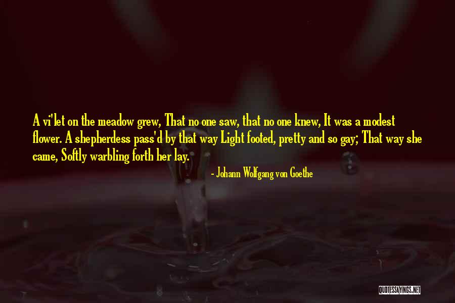 Saw Vi Quotes By Johann Wolfgang Von Goethe Saw Vi Quotes By Johann Wolfgang Von Goethe