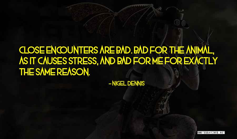 Sawachi Yuka Quotes By Nigel Dennis Sawachi Yuka Quotes By Nigel Dennis