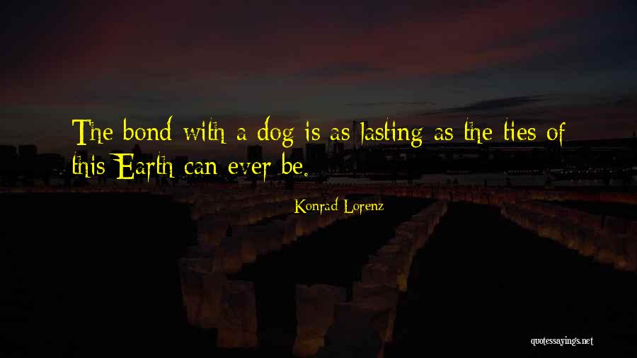 Sawaguchi Seiko Quotes By Konrad Lorenz Sawaguchi Seiko Quotes By Konrad Lorenz