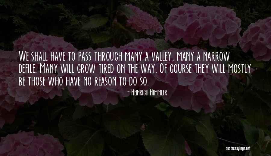 Sawaguchi Yuki Quotes By Heinrich Himmler Sawaguchi Yuki Quotes By Heinrich Himmler