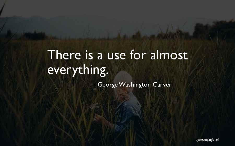 Sawah Padi Quotes By George Washington Carver Sawah Padi Quotes By George Washington Carver