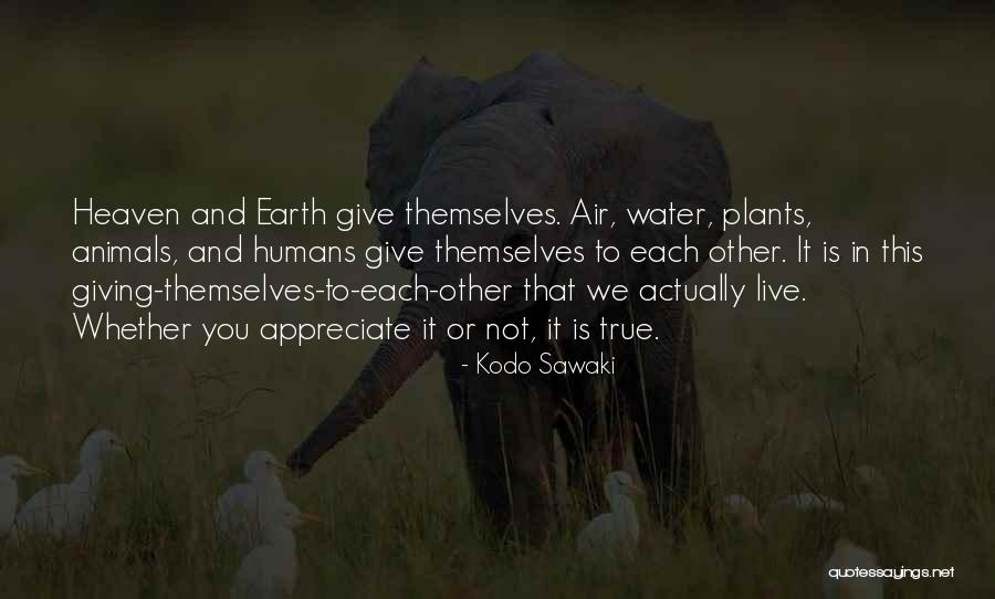 Sawaki Wonder Quotes By Kodo Sawaki Sawaki Wonder Quotes By Kodo Sawaki