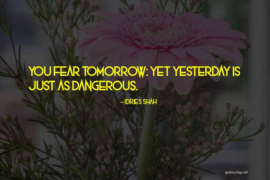 Sawandee Quotes By Idries Shah Sawandee Quotes By Idries Shah