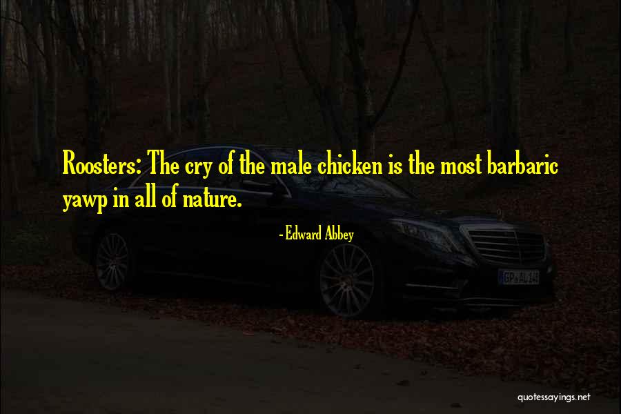 Sawbridge Studios Quotes By Edward Abbey Sawbridge Studios Quotes By Edward Abbey