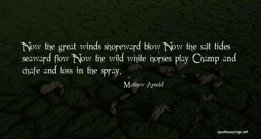 Sawczuk Kasia Quotes By Matthew Arnold Sawczuk Kasia Quotes By Matthew Arnold