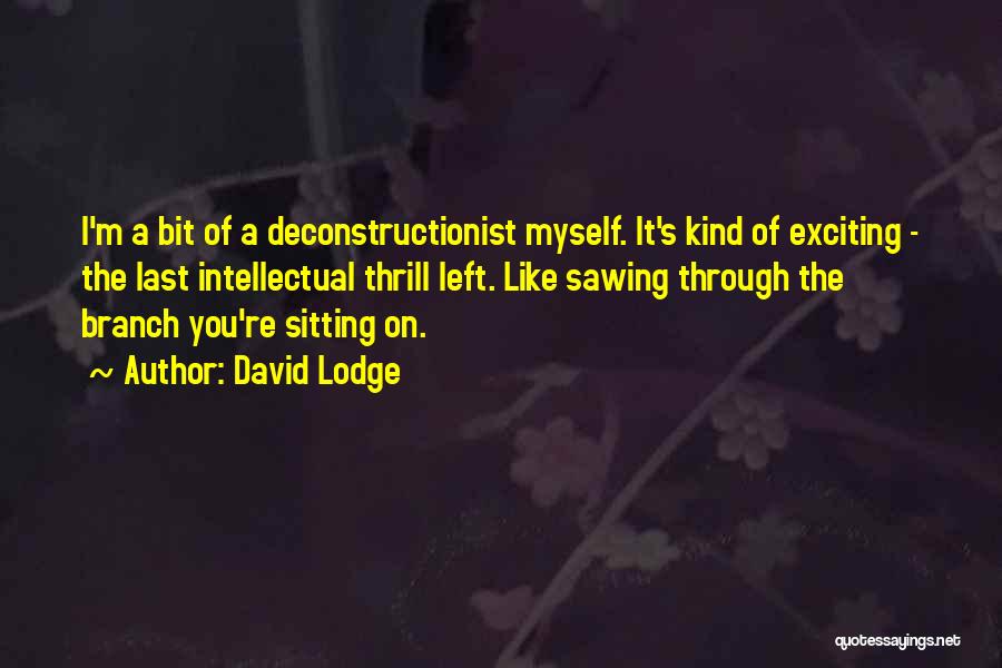 Sawing Quotes By David Lodge