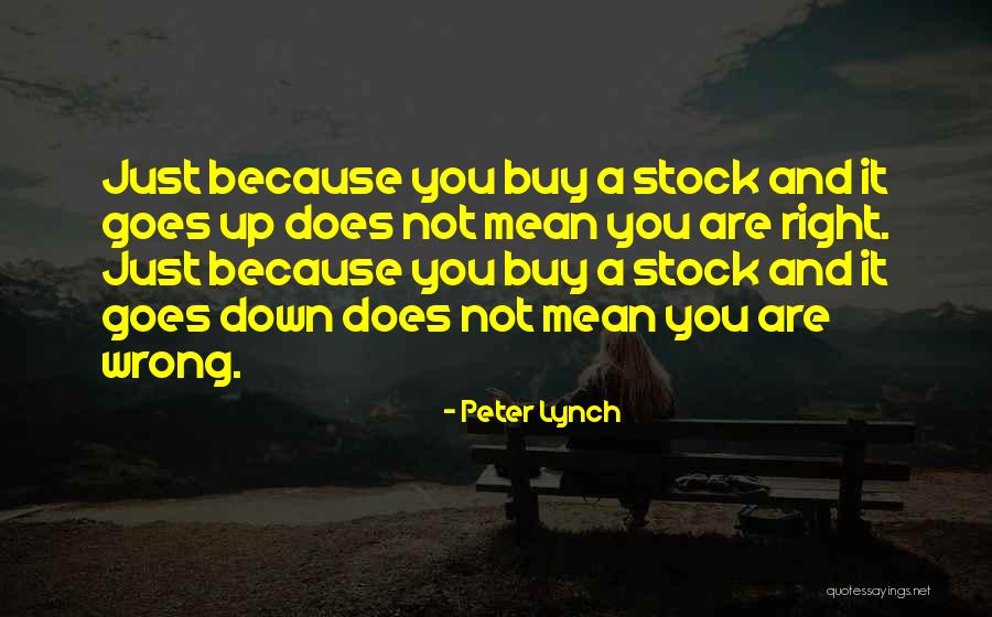 Sawsan Hadidi Quotes By Peter Lynch Sawsan Hadidi Quotes By Peter Lynch