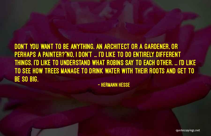 Say Anything You Want Quotes By Hermann Hesse