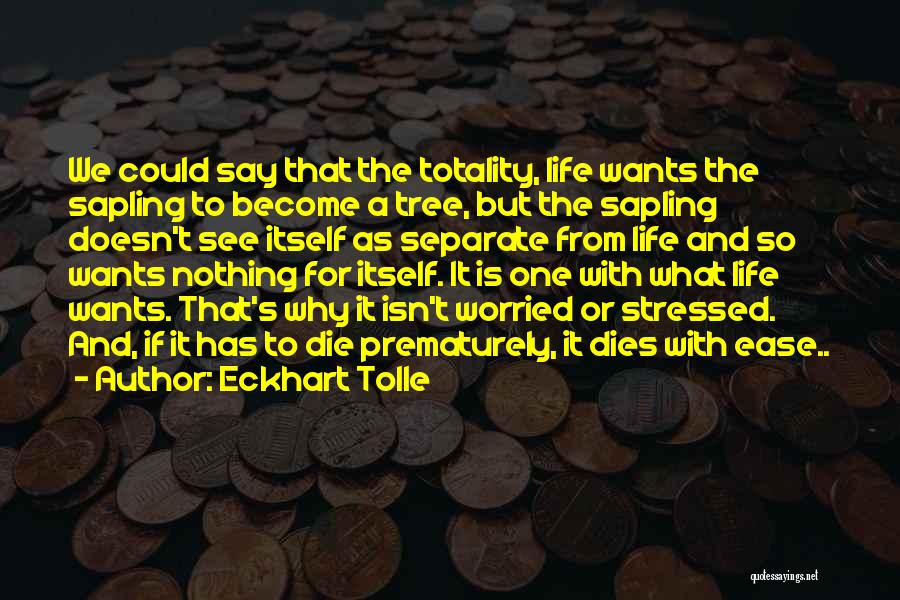 Say It Isn So Quotes By Eckhart Tolle