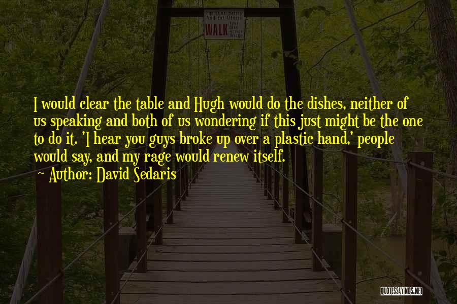 Say No Plastic Quotes By David Sedaris