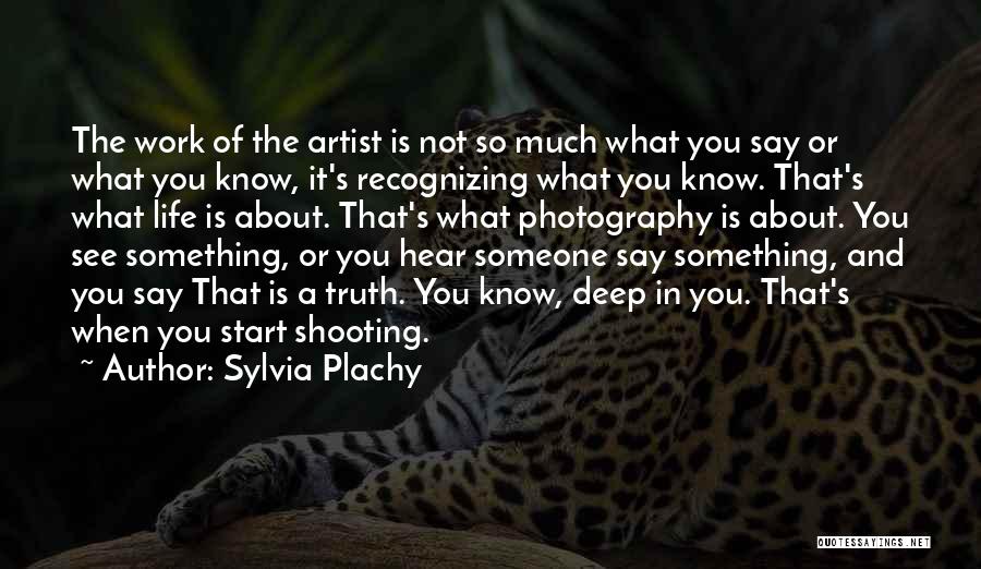 Say Something About Life Quotes By Sylvia Plachy