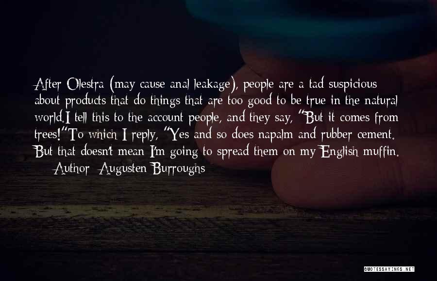 Say Something Good About Someone Quotes By Augusten Burroughs