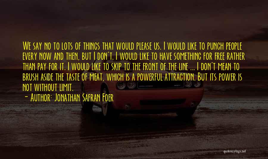 Say Things We Don't Mean Quotes By Jonathan Safran Foer