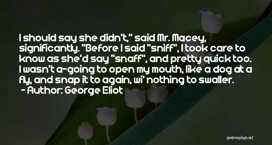 Say We Can Fly Quotes By George Eliot