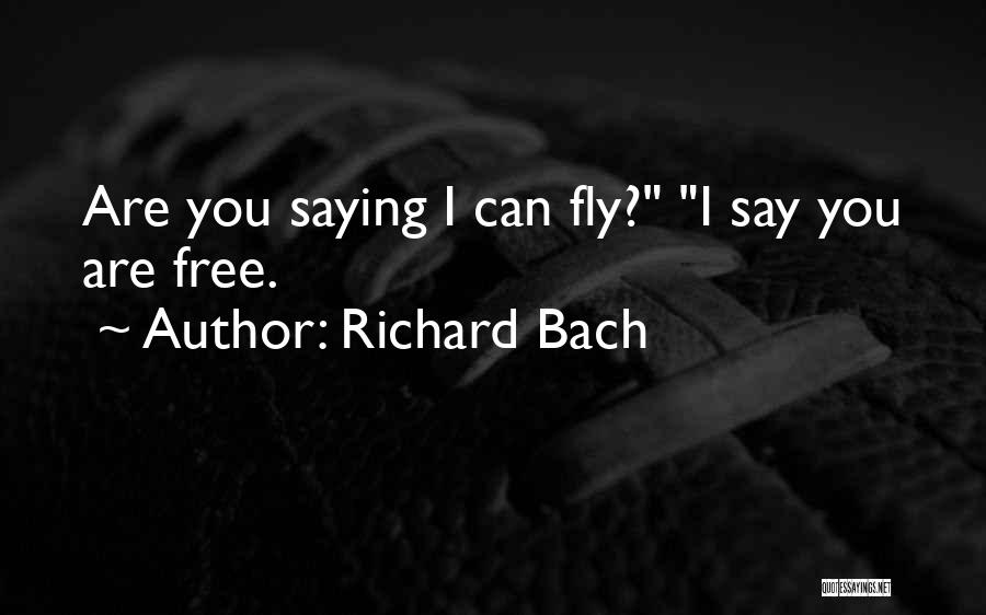 Say We Can Fly Quotes By Richard Bach