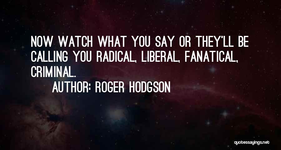 Say What Now Quotes By Roger Hodgson