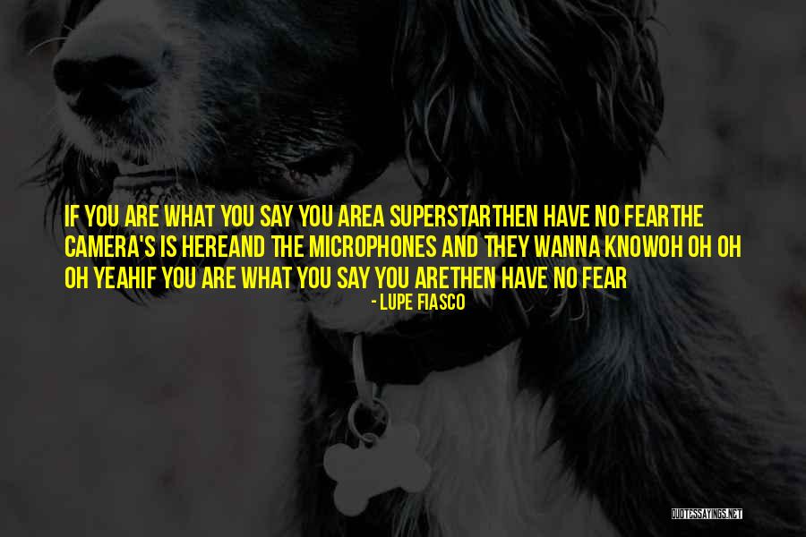 Say What You Wanna Say Quotes By Lupe Fiasco Say What You Wanna Say Quotes By Lupe Fiasco