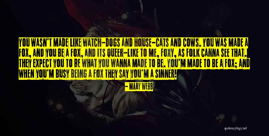 Say What You Wanna Say Quotes By Mary Webb Say What You Wanna Say Quotes By Mary Webb