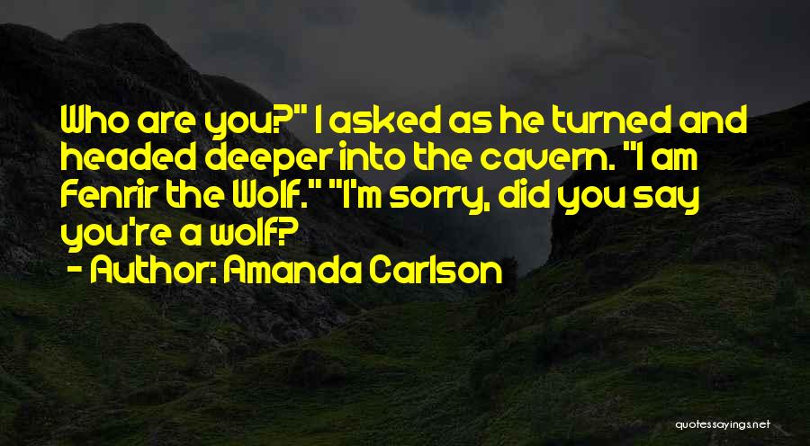 Say You're Sorry Quotes By Amanda Carlson