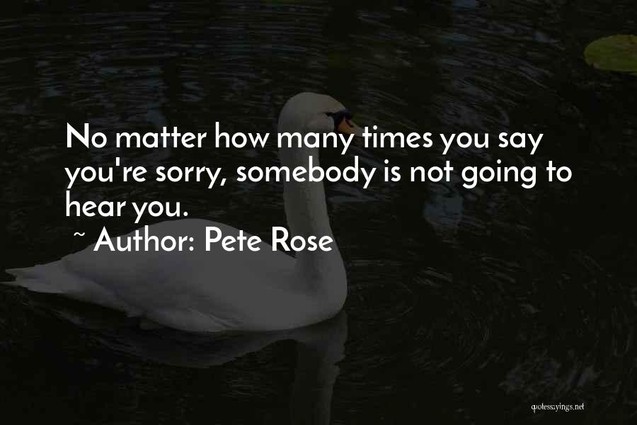 Say You're Sorry Quotes By Pete Rose