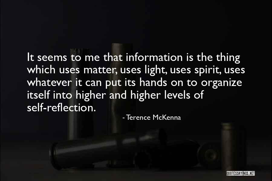 Saying Goodbye Old Year Quotes By Terence McKenna