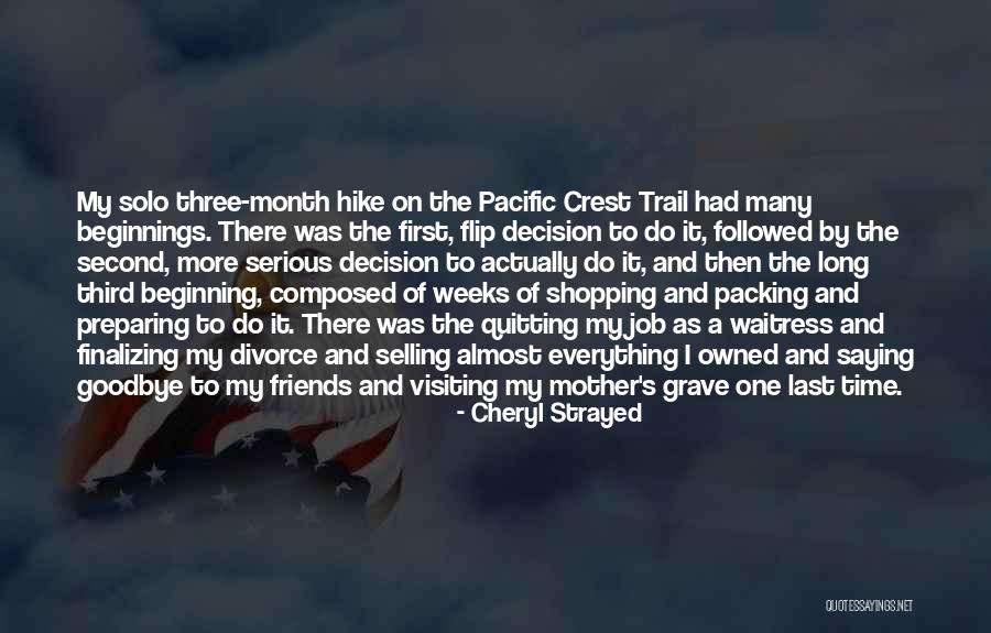 Saying Goodbye One Last Time Quotes By Cheryl Strayed Saying Goodbye One Last Time Quotes By Cheryl Strayed