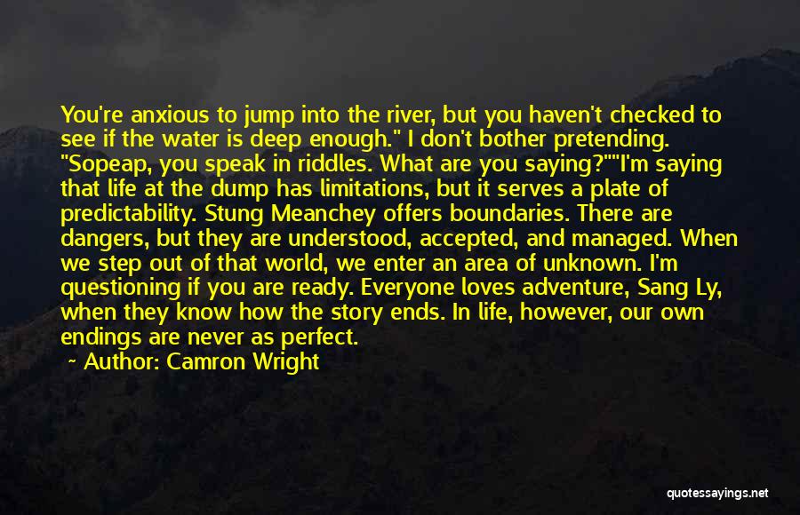 Saying How It Is Quotes By Camron Wright