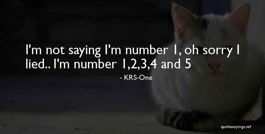 Saying I Sorry Quotes By KRS-One