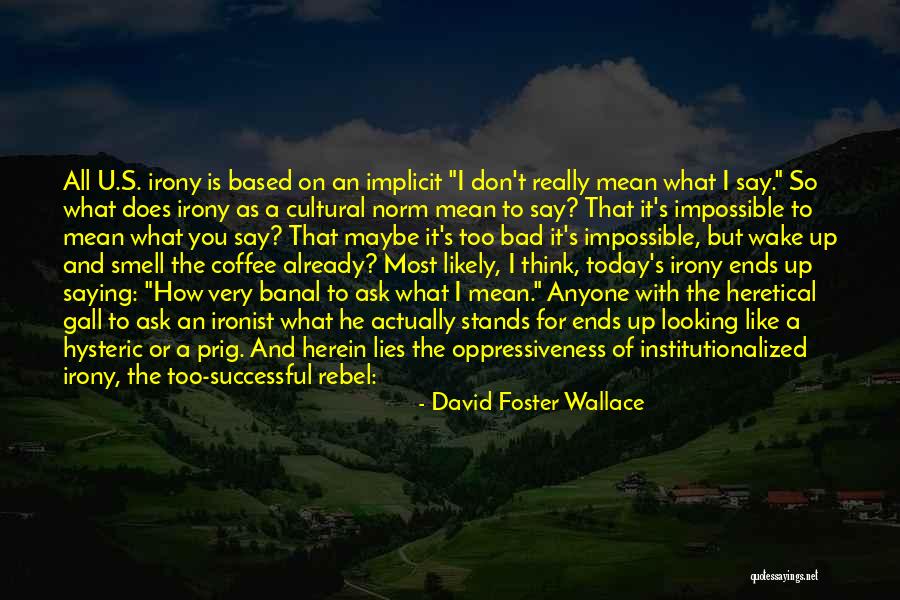 Saying Mean Things You Don't Mean Quotes By David Foster Wallace Saying Mean Things You Don't Mean Quotes By David Foster Wallace