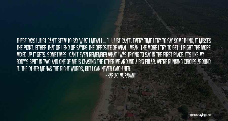 Saying Mean Words Quotes By Haruki Murakami