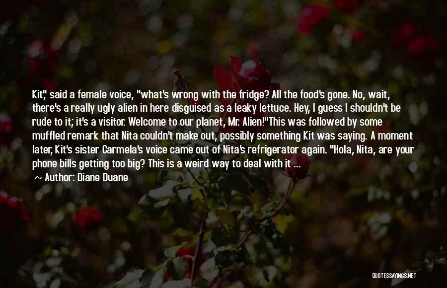 Saying Something Wrong Quotes By Diane Duane