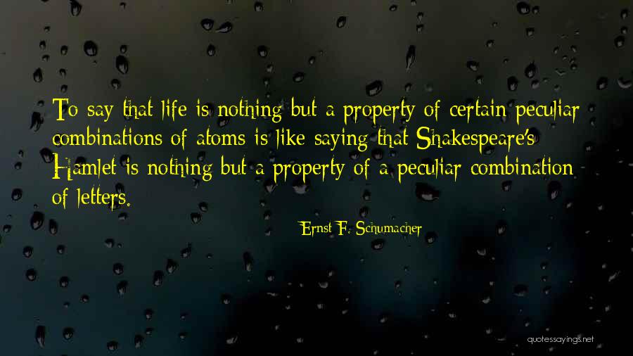 Saying Sorry But Not Meaning It Quotes By Ernst F. Schumacher