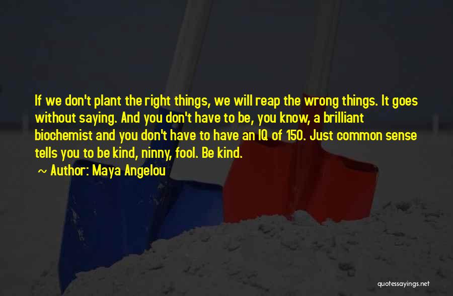 Saying The Wrong Things Quotes By Maya Angelou