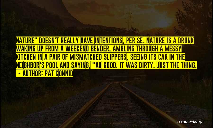 Saying Things When You Are Drunk Quotes By Pat Connid