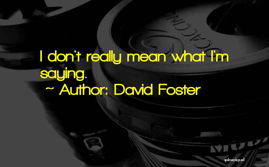 Saying Things You Don't Mean Quotes By David Foster
