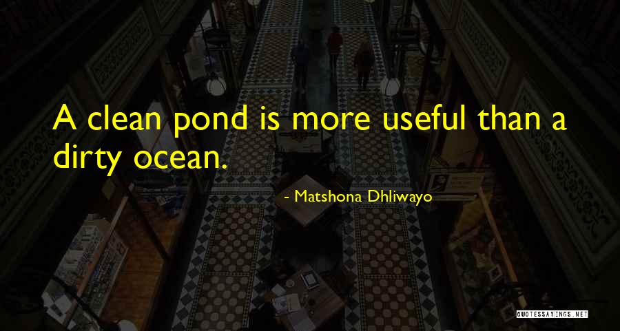 Sayings Quotes By Matshona Dhliwayo