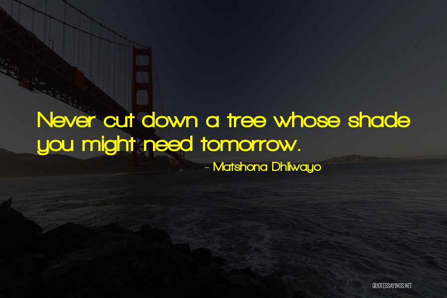 Sayings Quotes By Matshona Dhliwayo